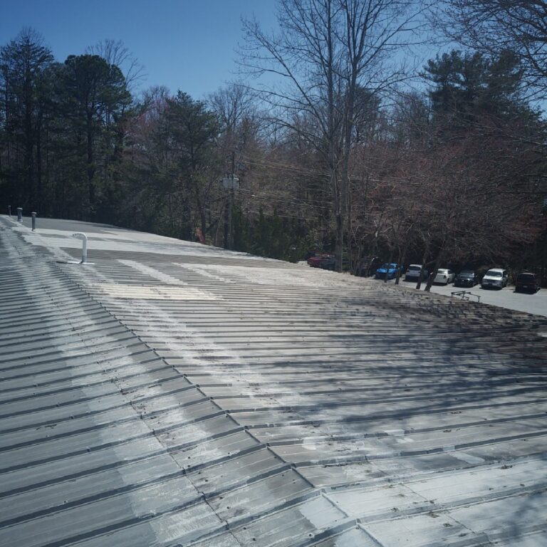 metal roof in need of repair