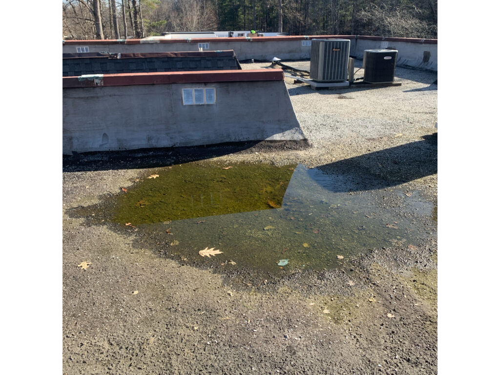 Ponding water on deteriorating bur roof