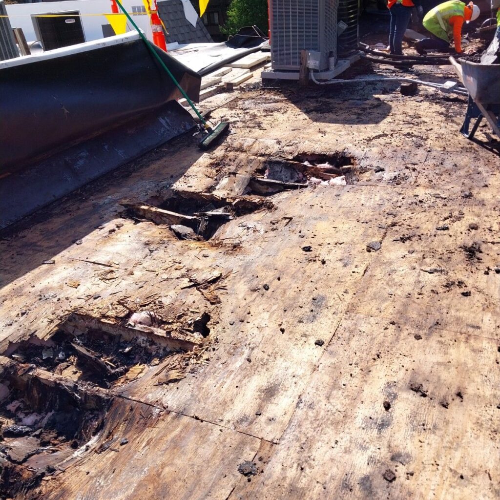 Rotten wood decking found during a bur roof replacement