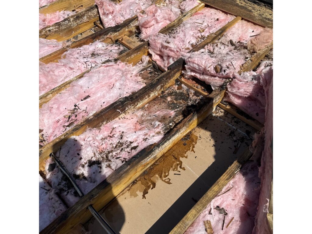 Wet roof insulation that needs to be removed and replaced.